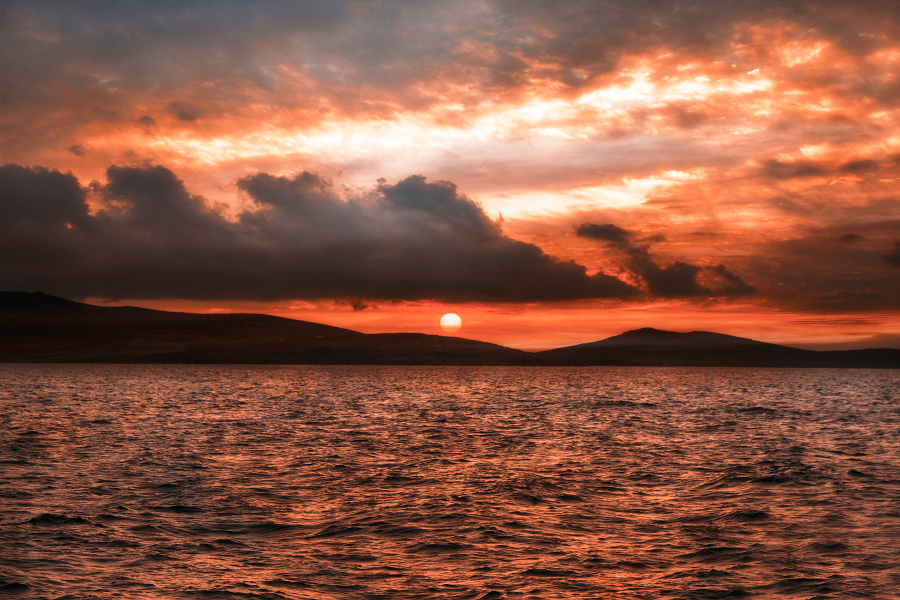 AL09569_1P