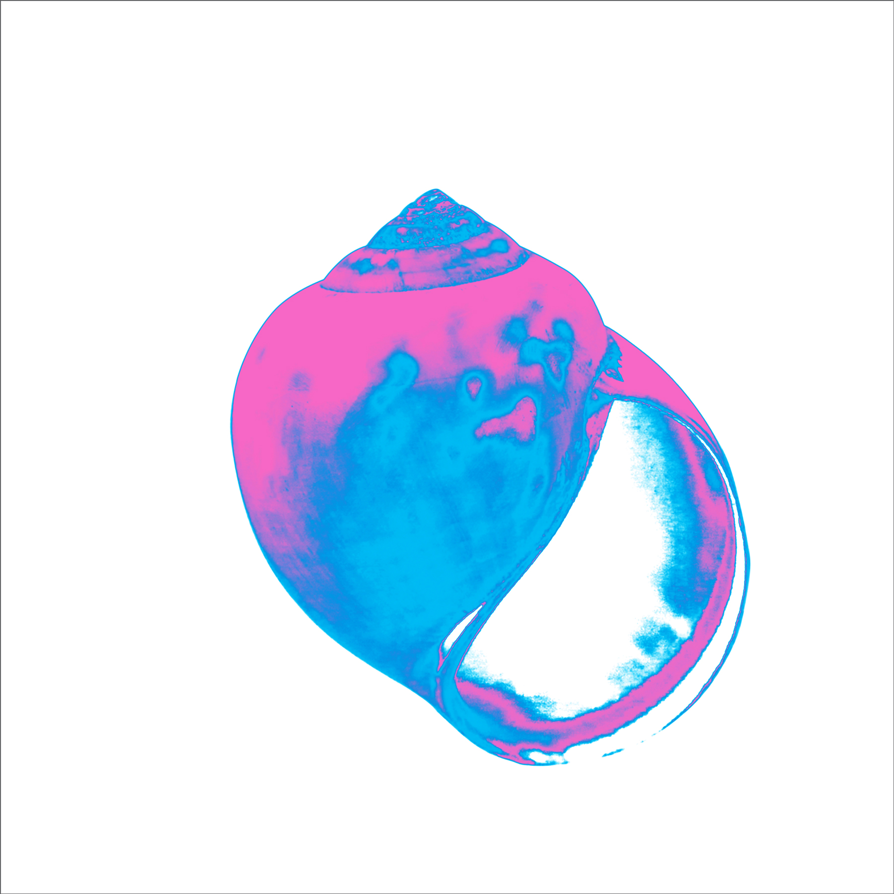 ALK00020