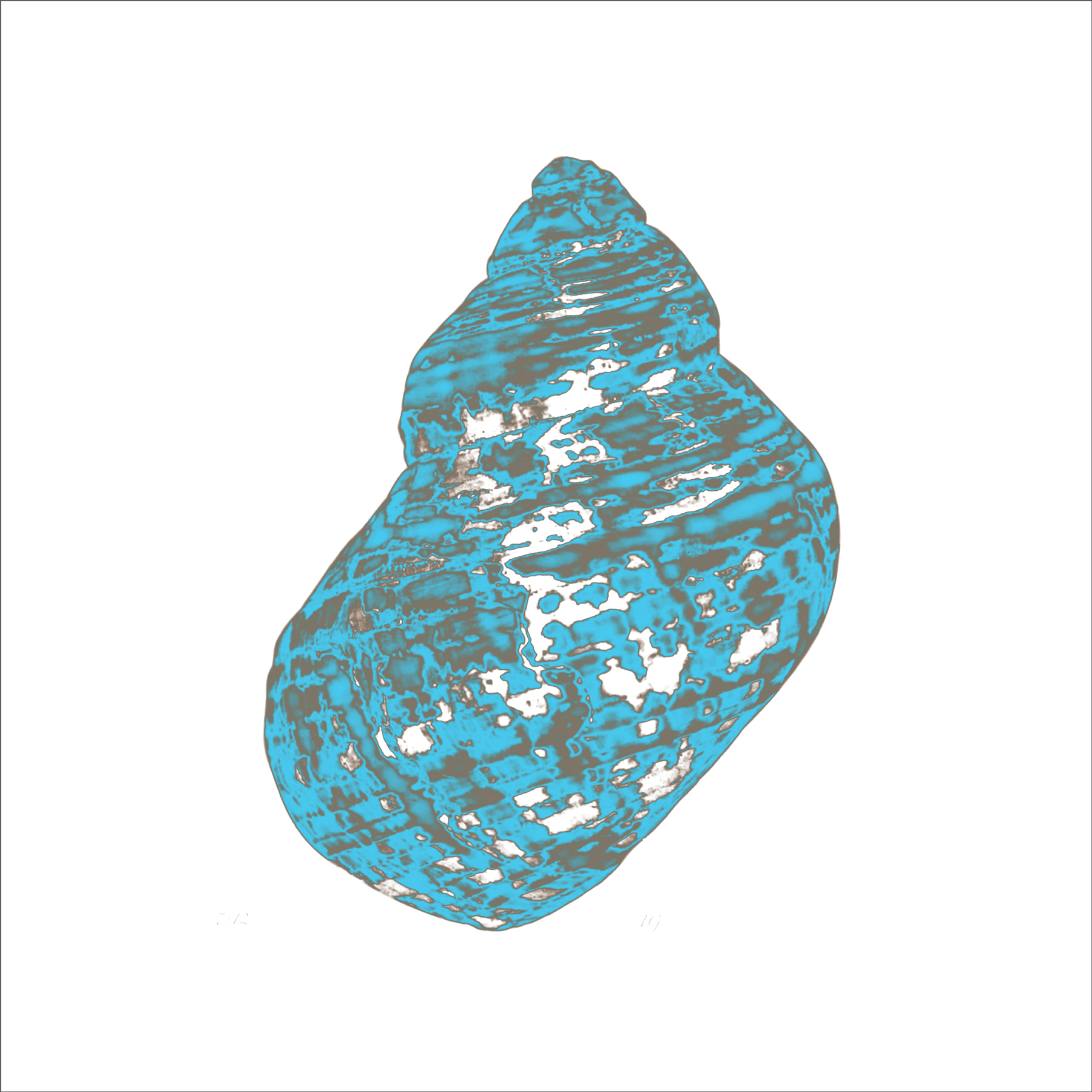 ALK00022