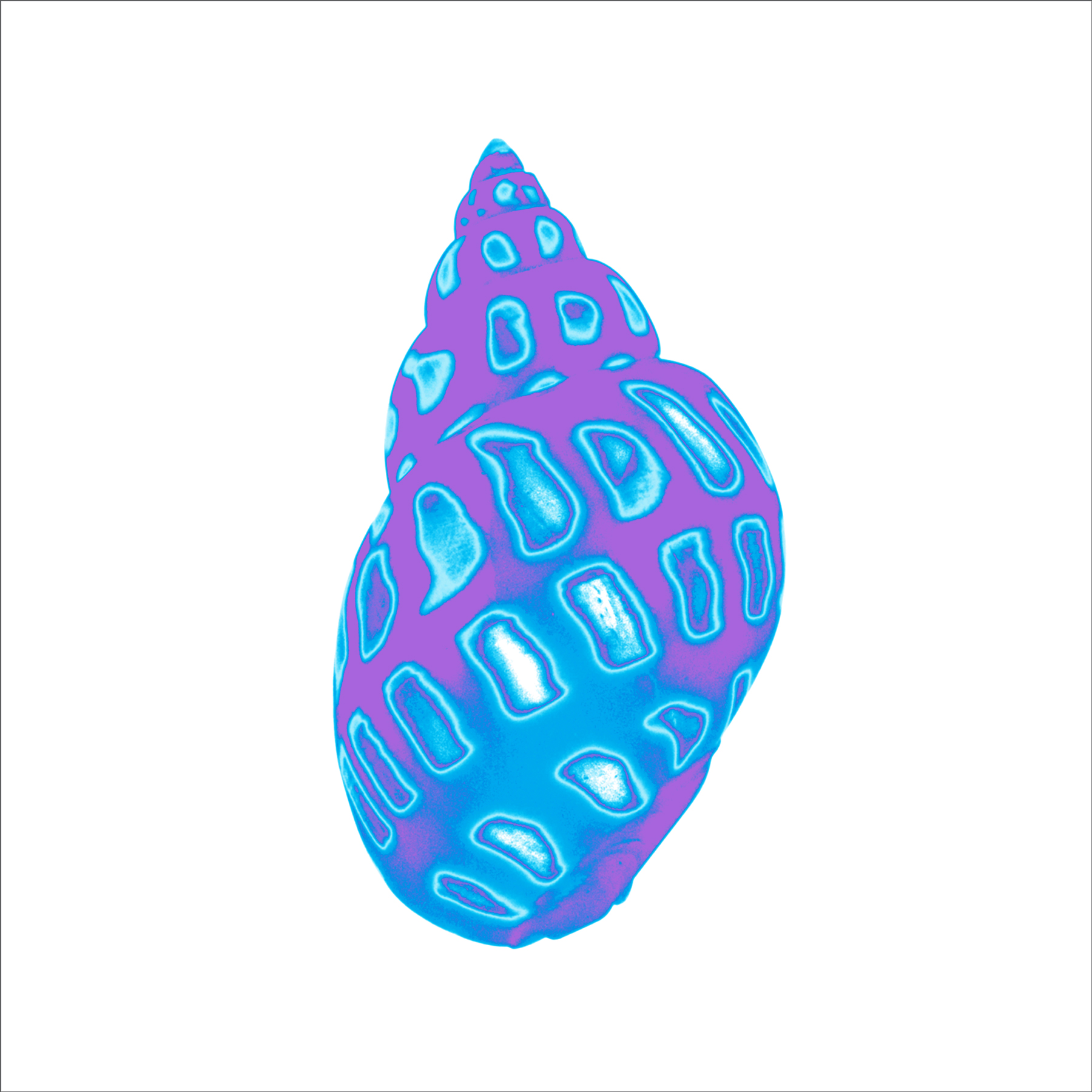 ALK00024