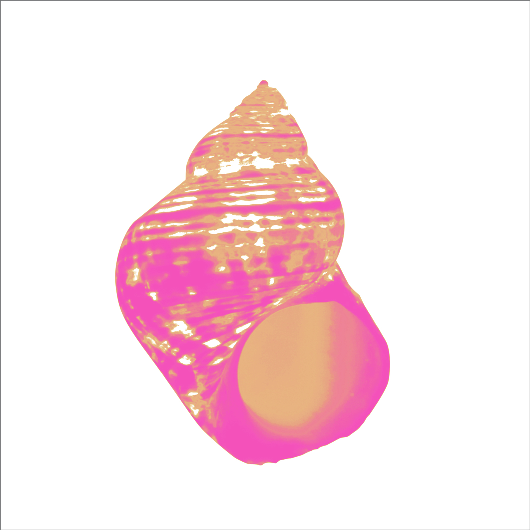 ALK00027