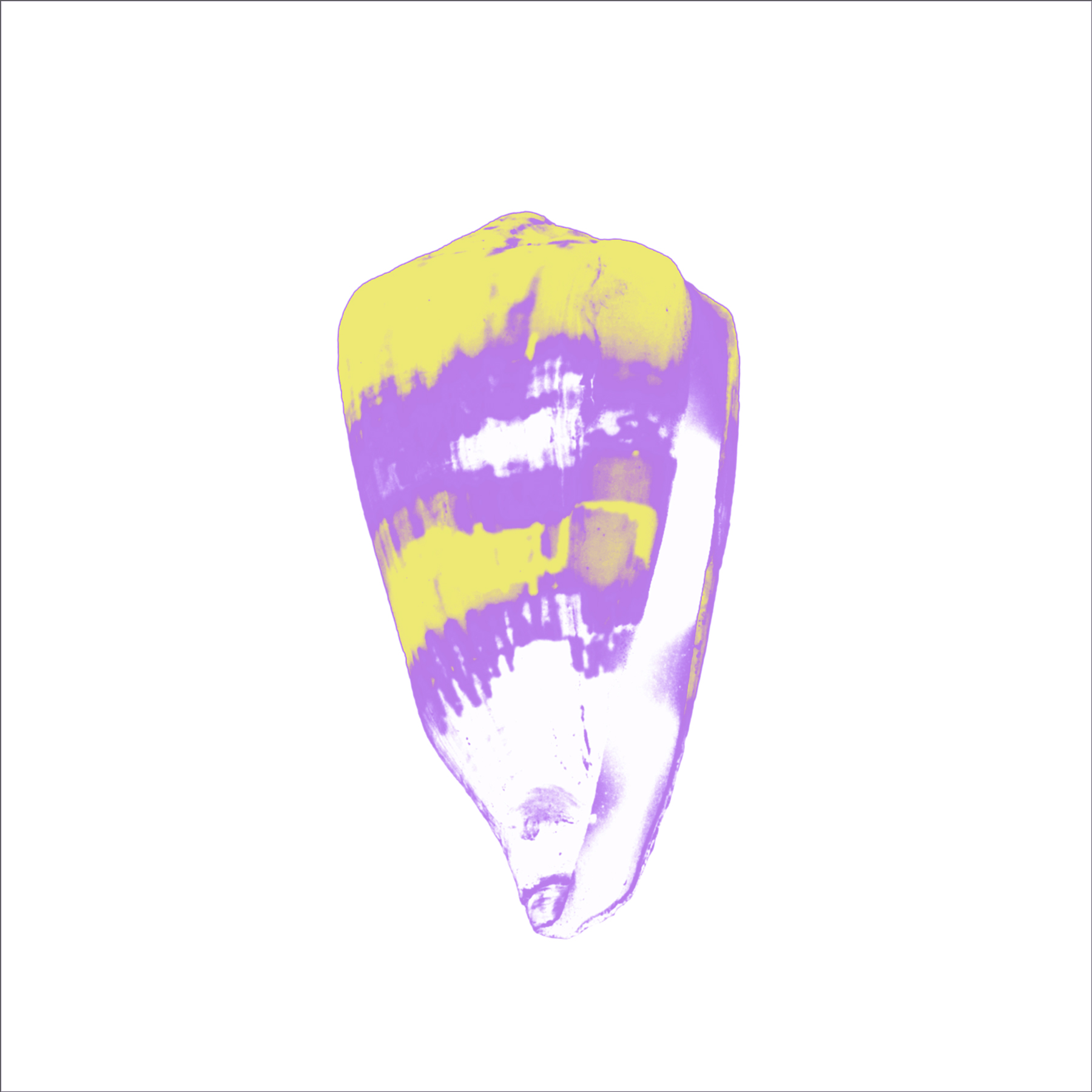 ALK00028