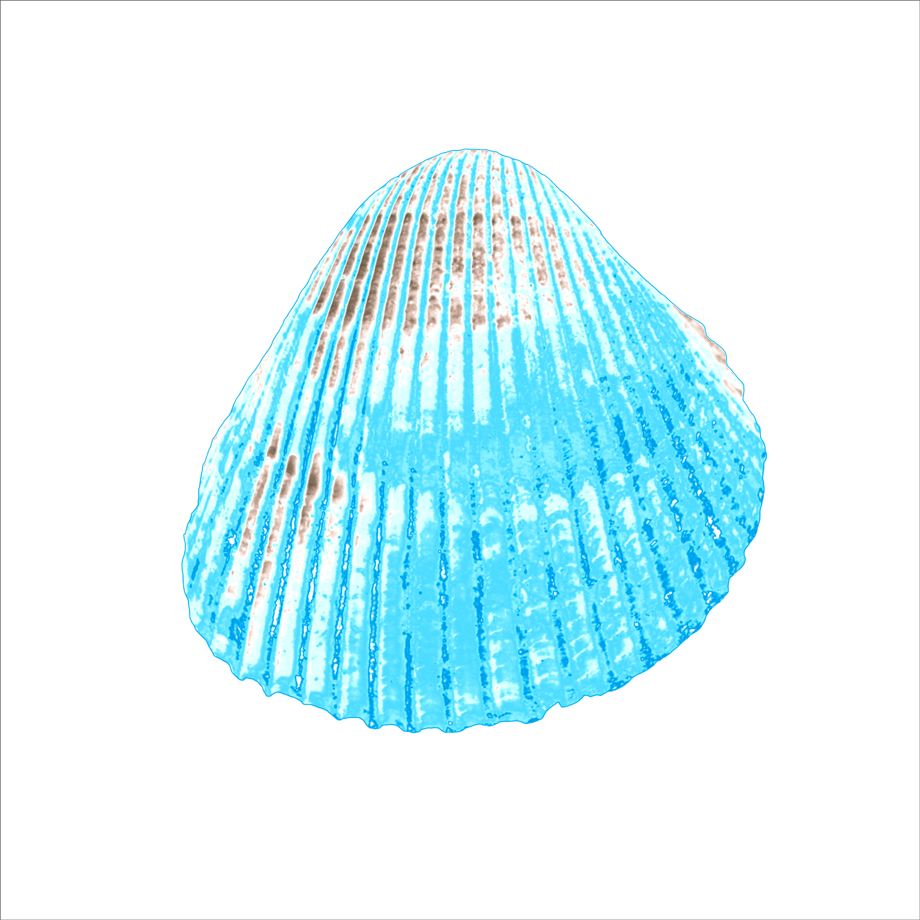 ALK00030