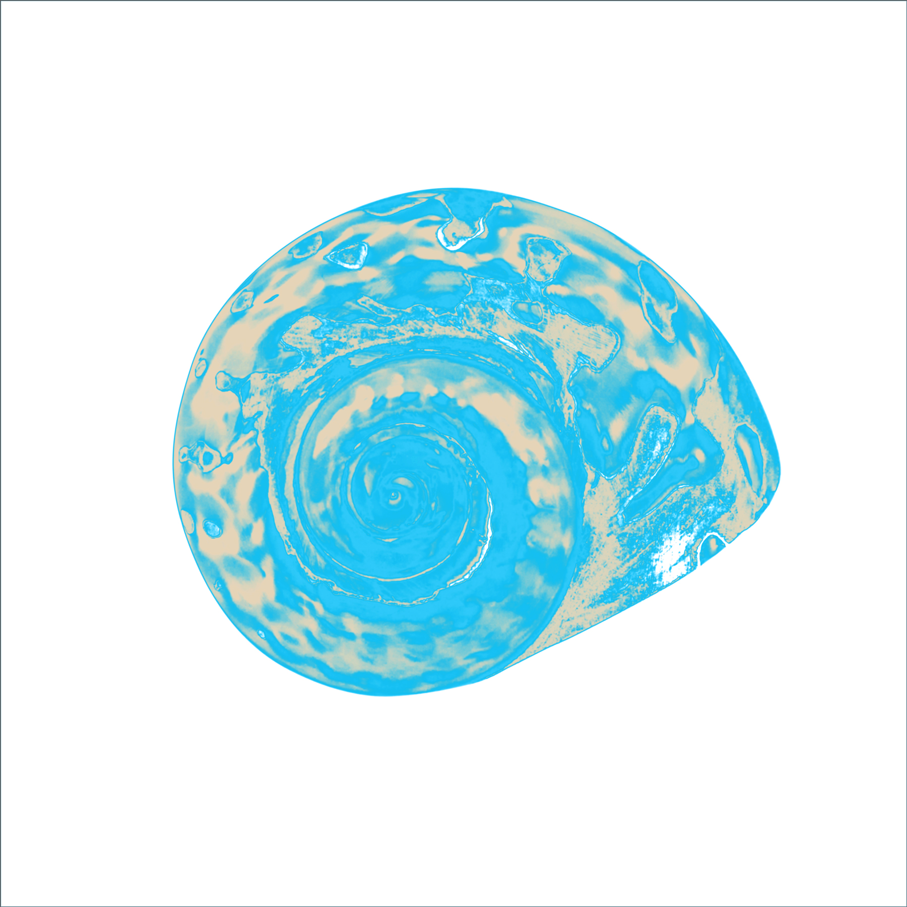ALK00031