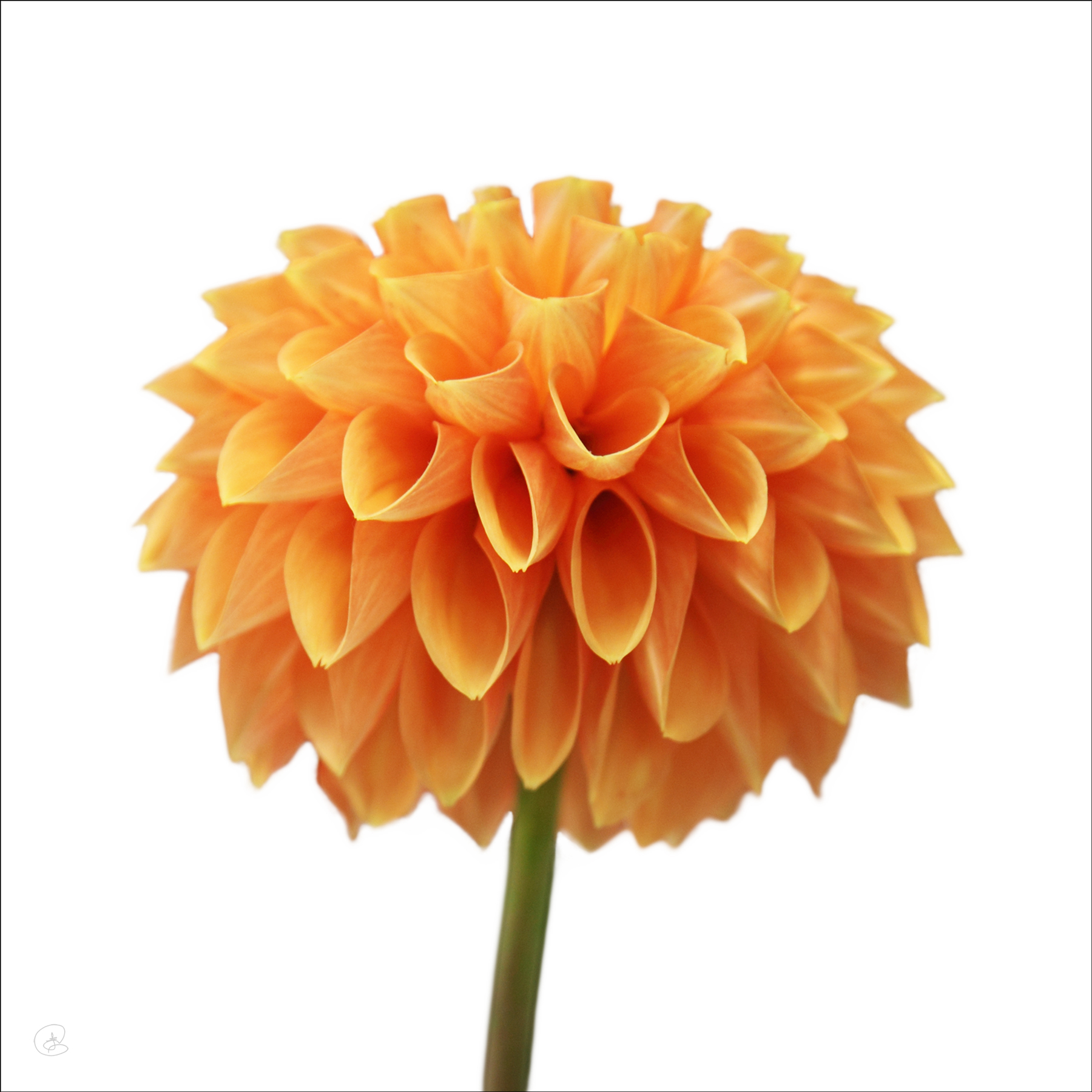 AL02263_e_SQ