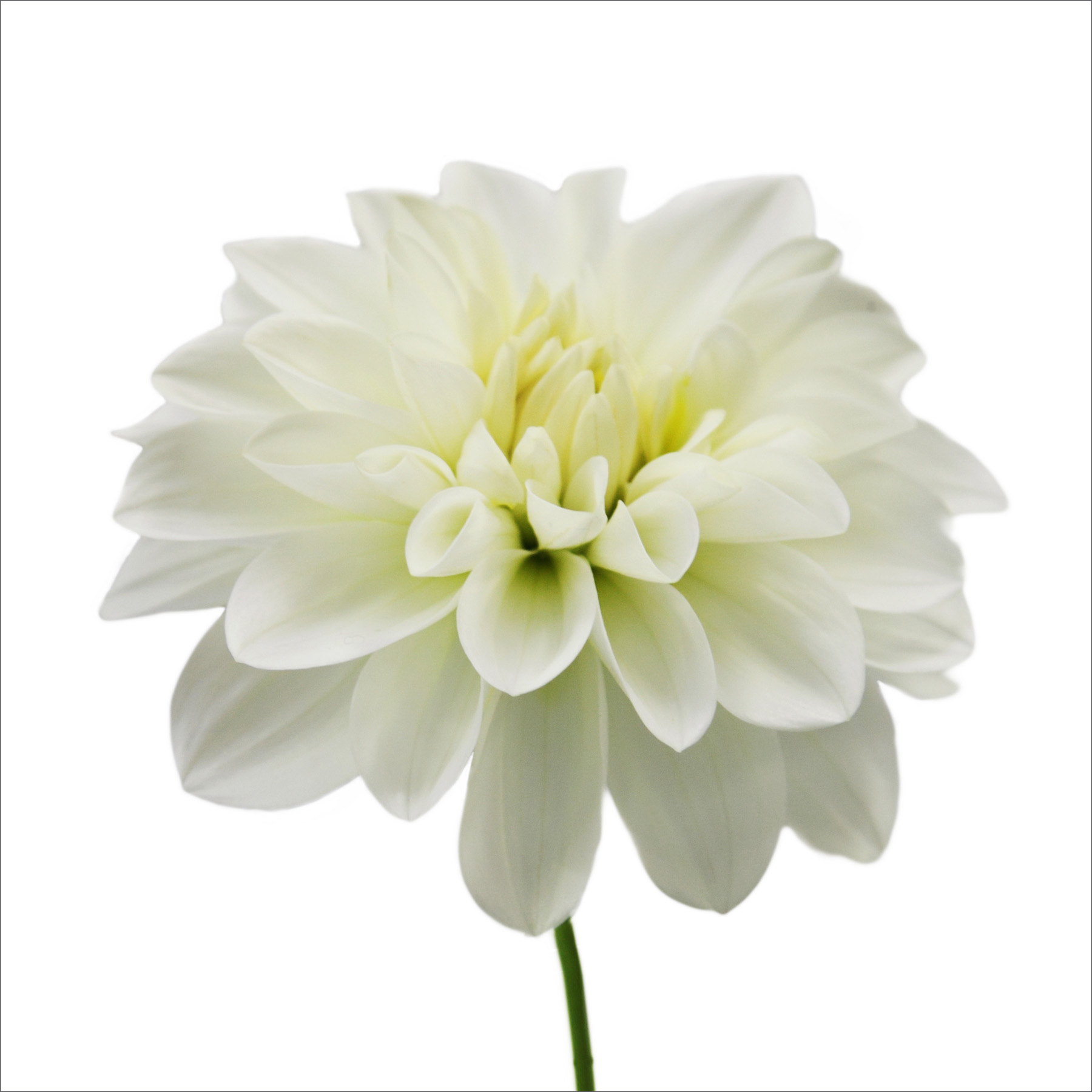 AL02281SQ more colors