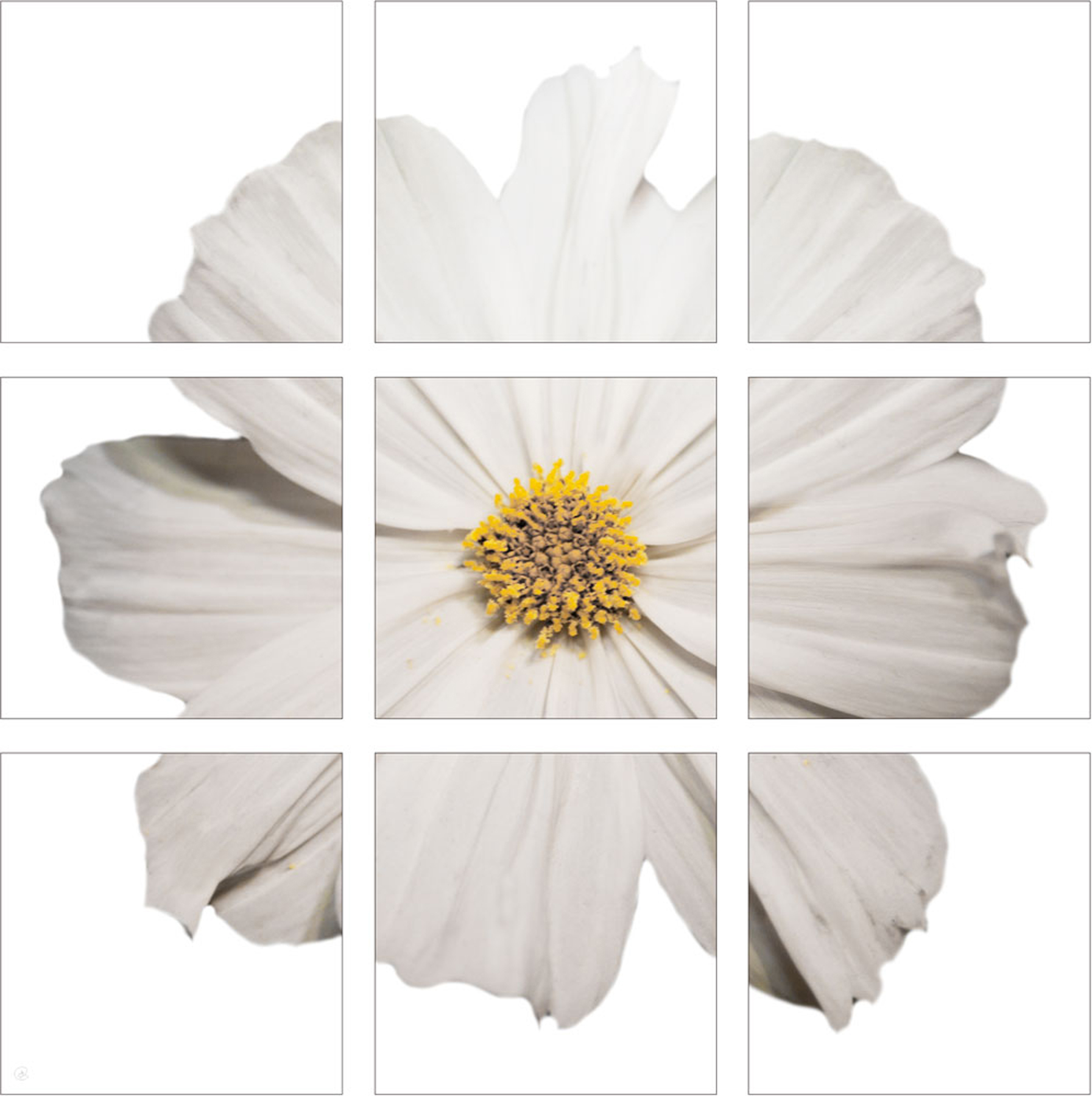 AL04819_WBG_MH