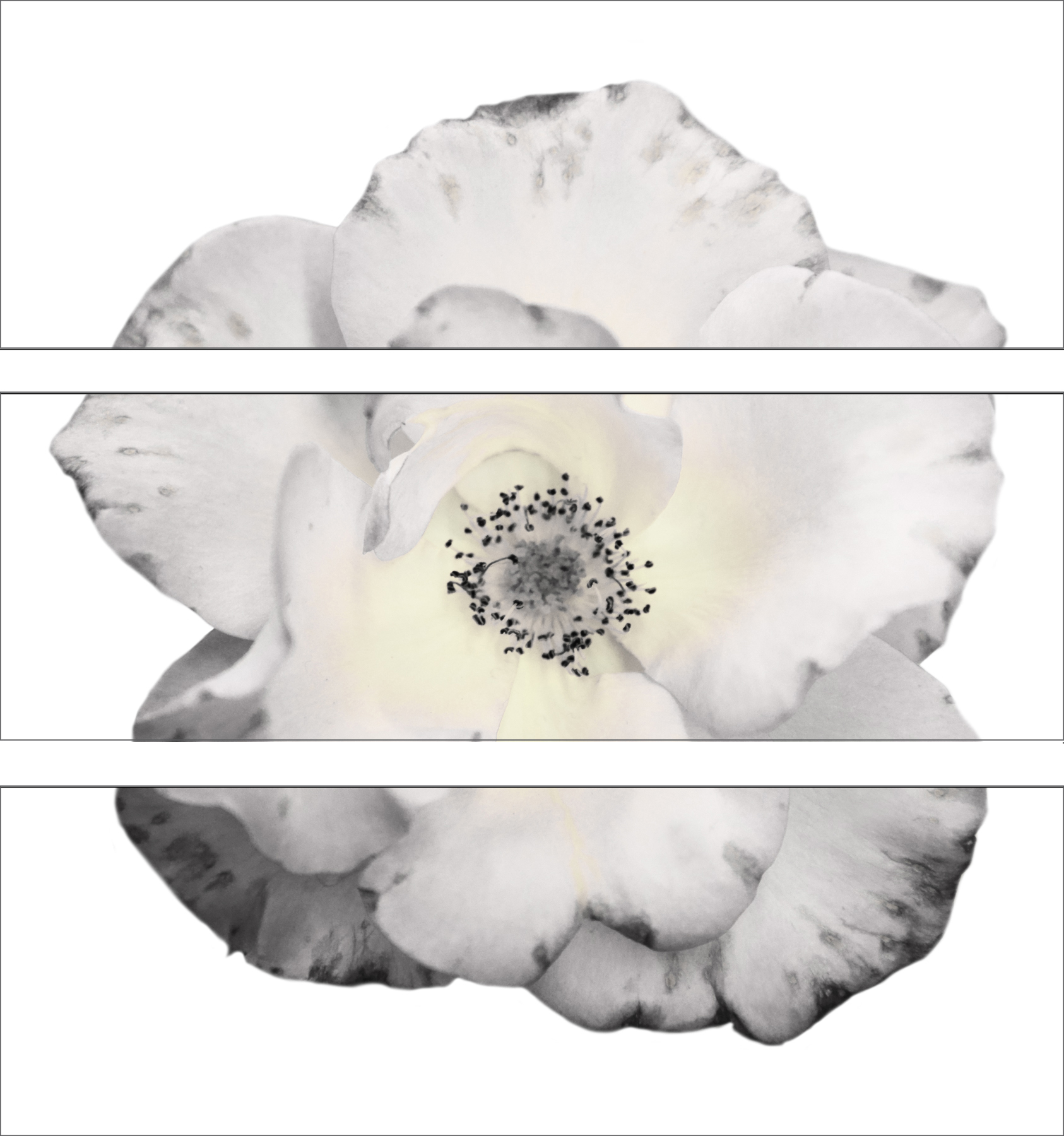 AL04834WBG_MH