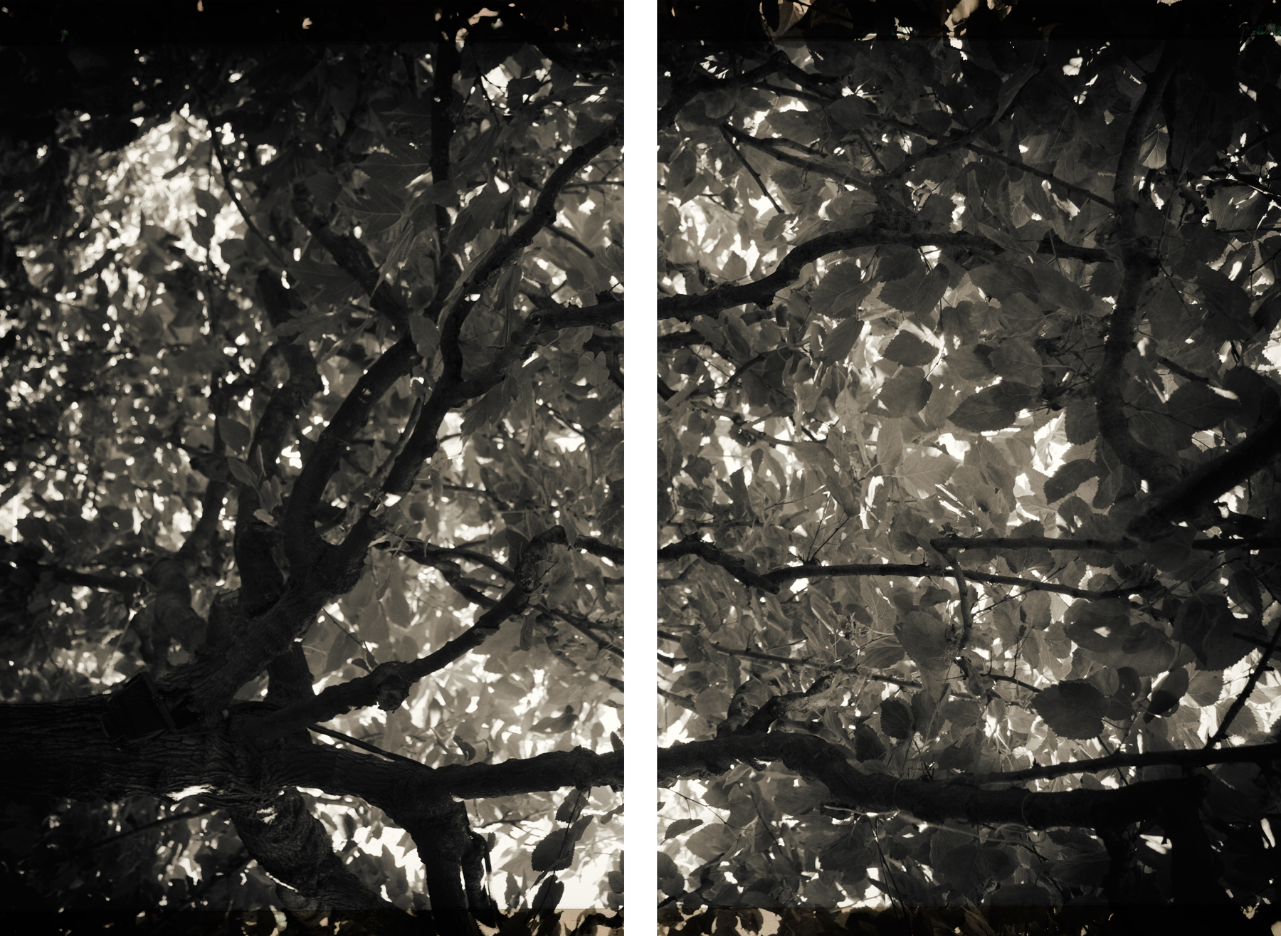 AL06473_SO2