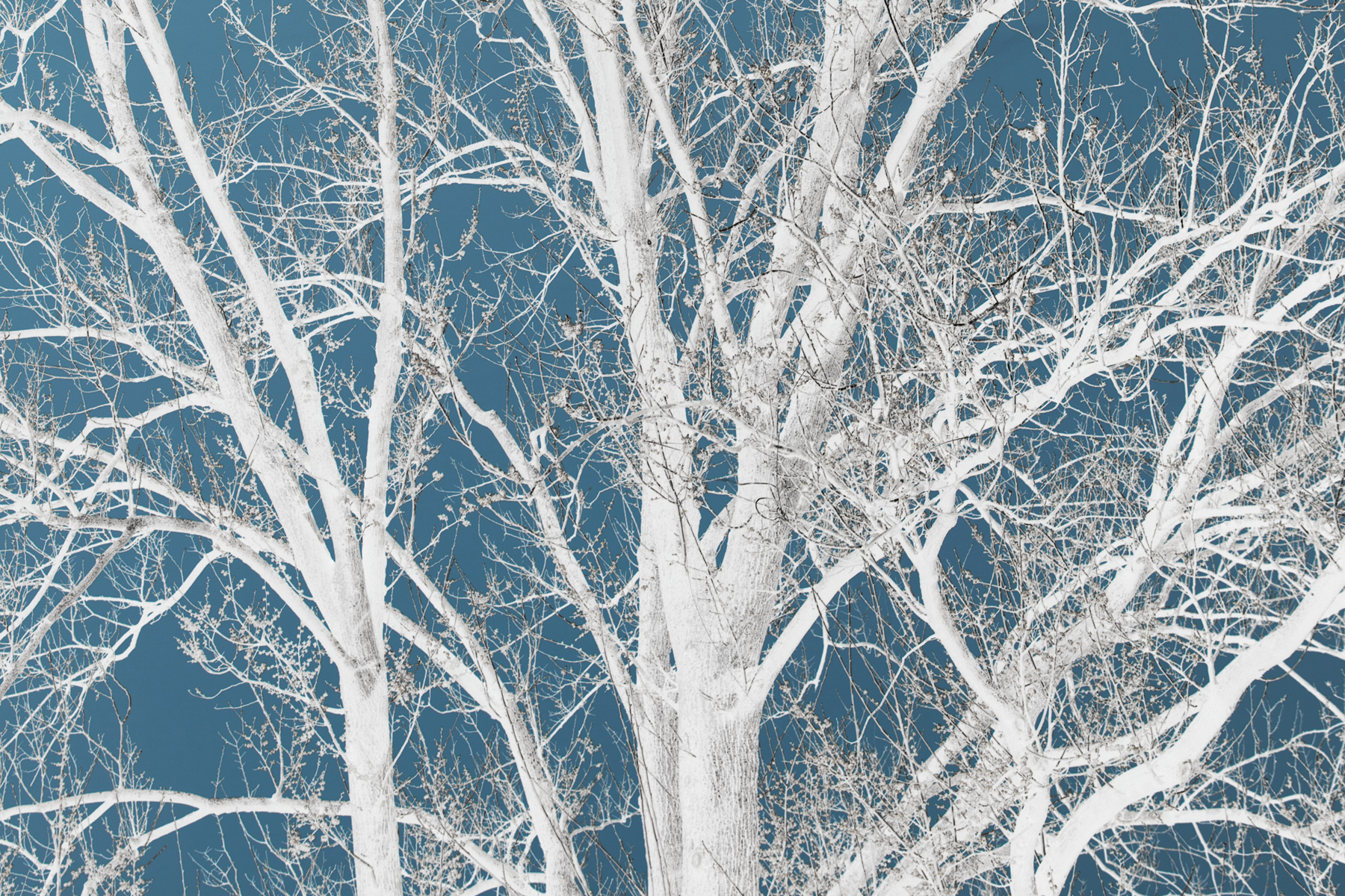 AL06638_1P