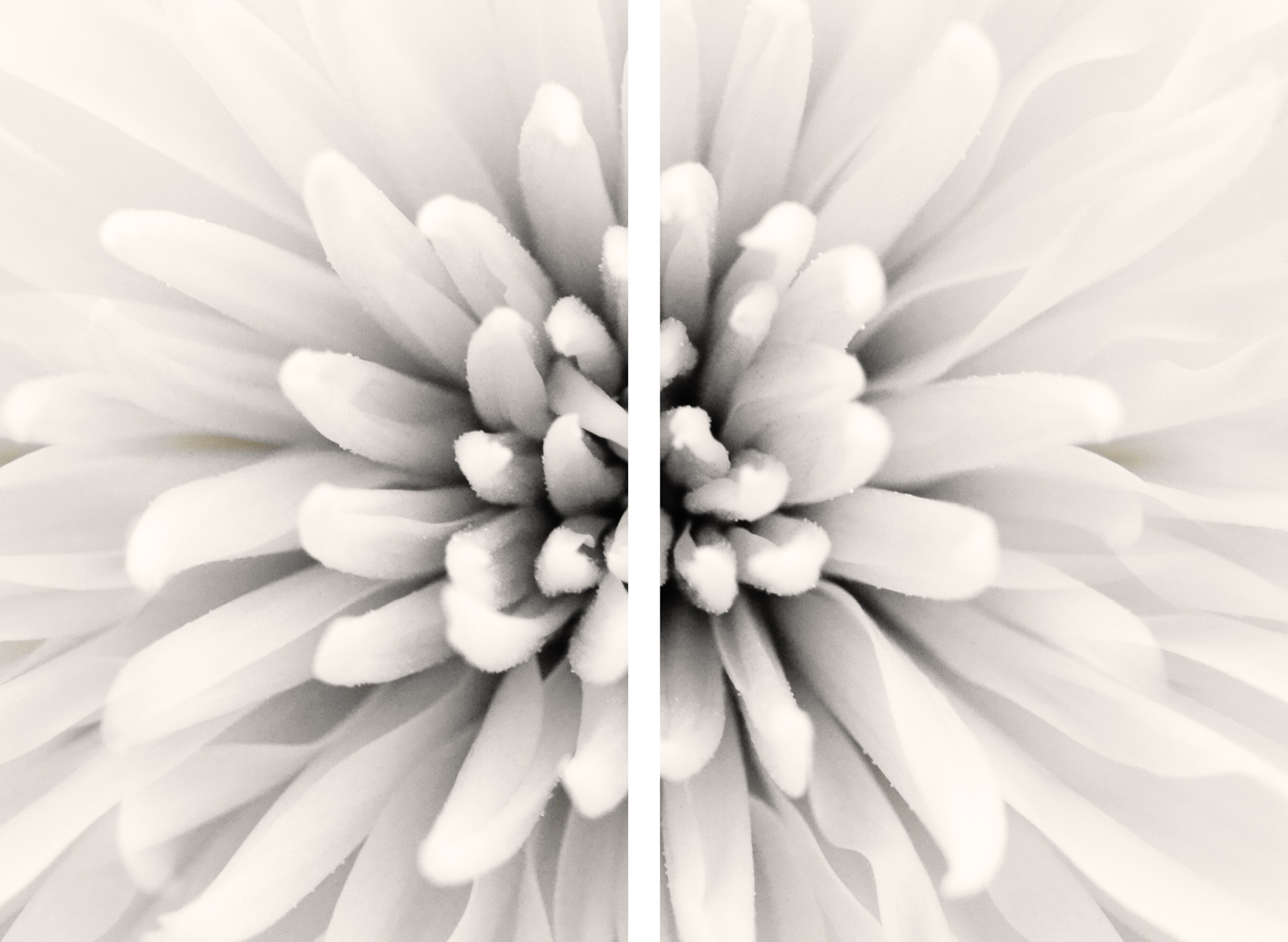 AL07934_SO2
