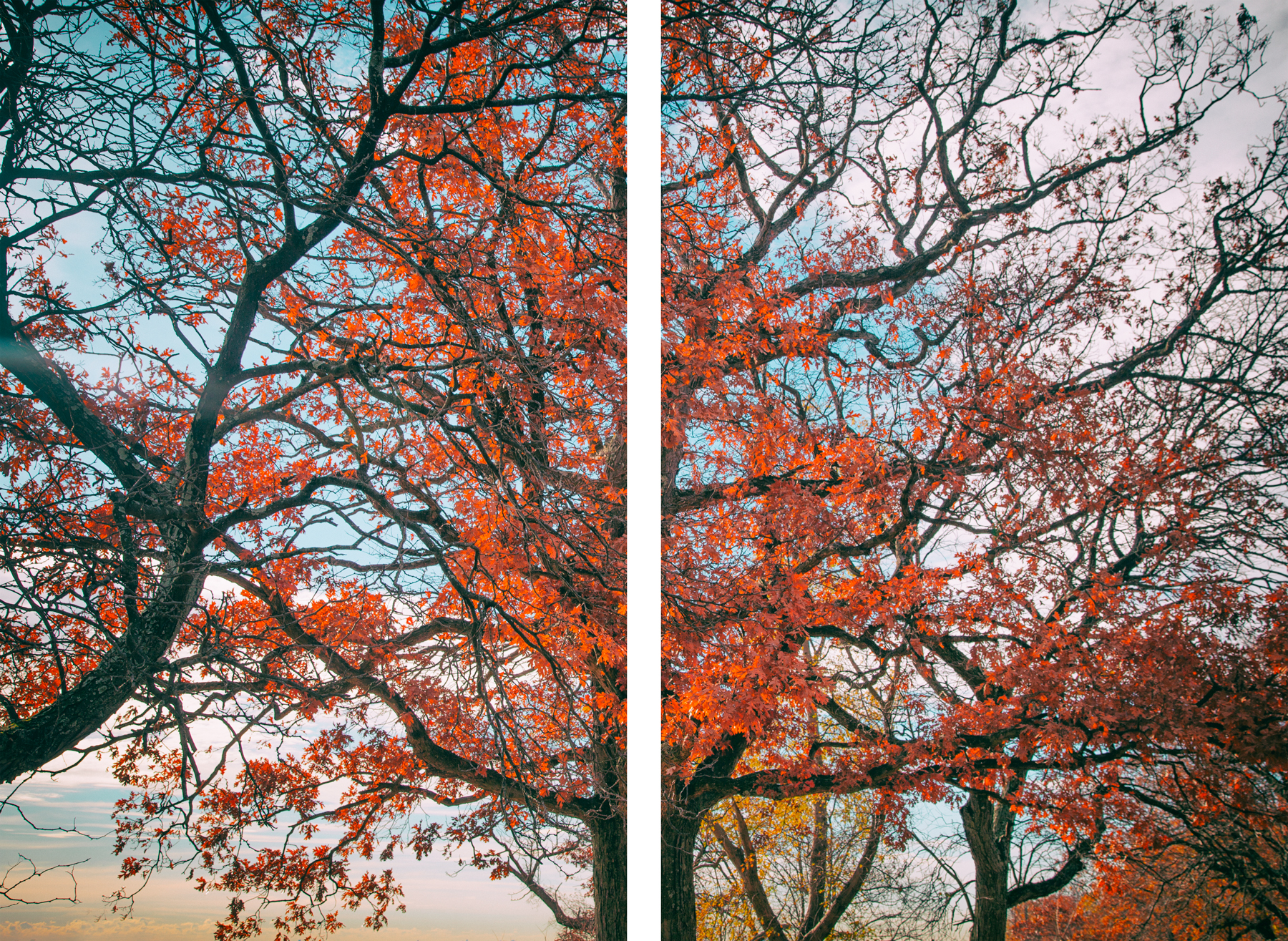 AL09694_SO2