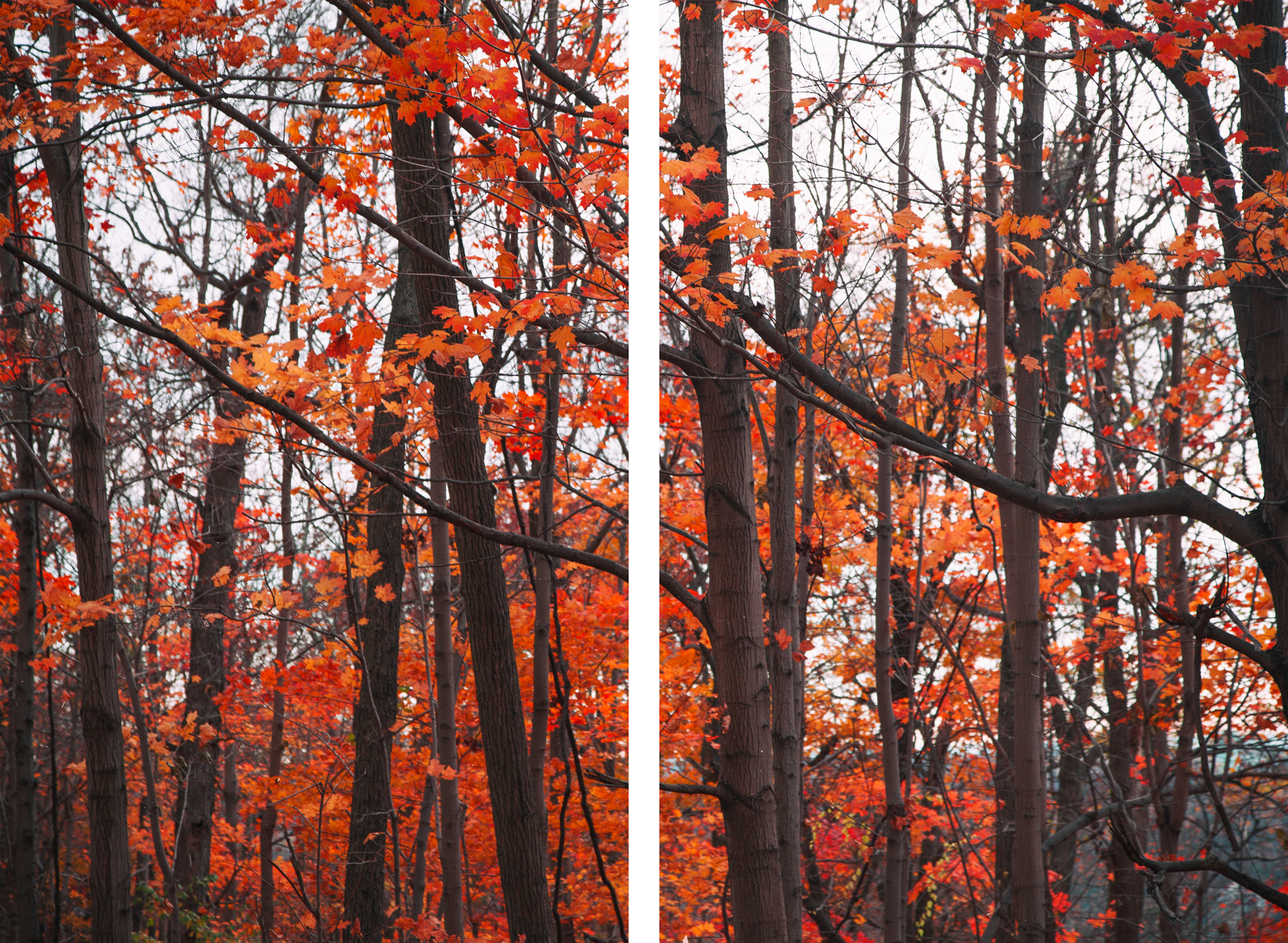 AL09695_S02