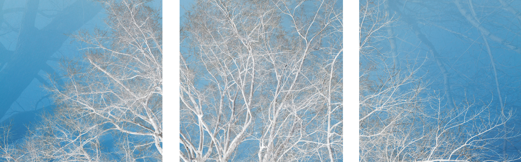 AL09755_SO3