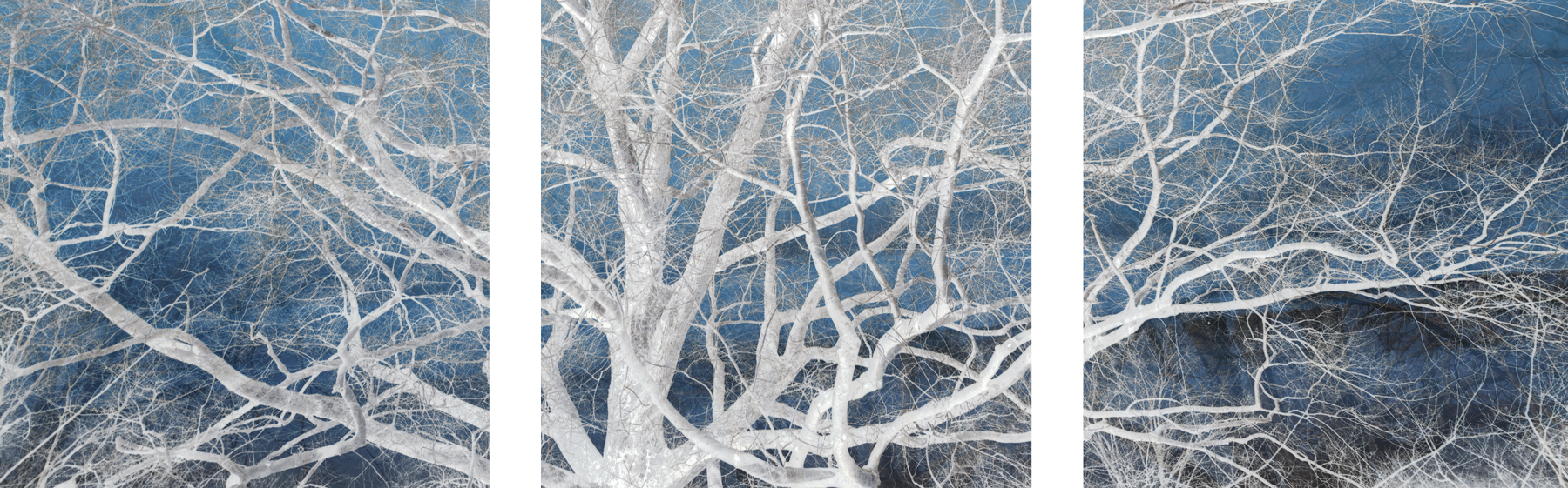 AL09756_SO3