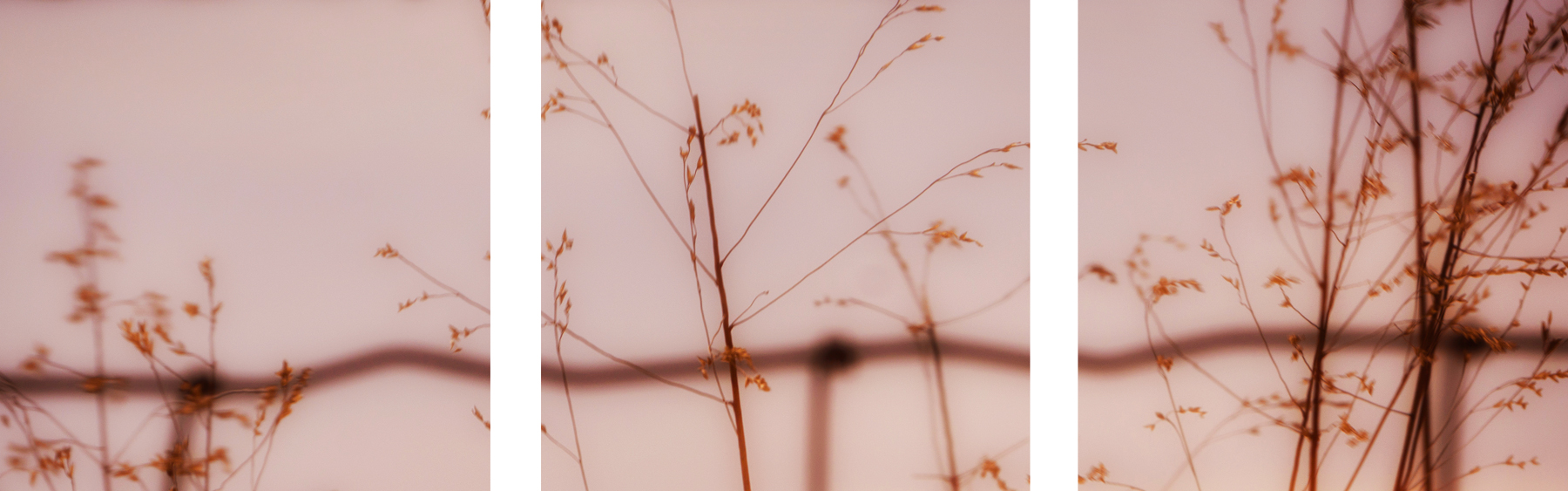 AL09757_SO3