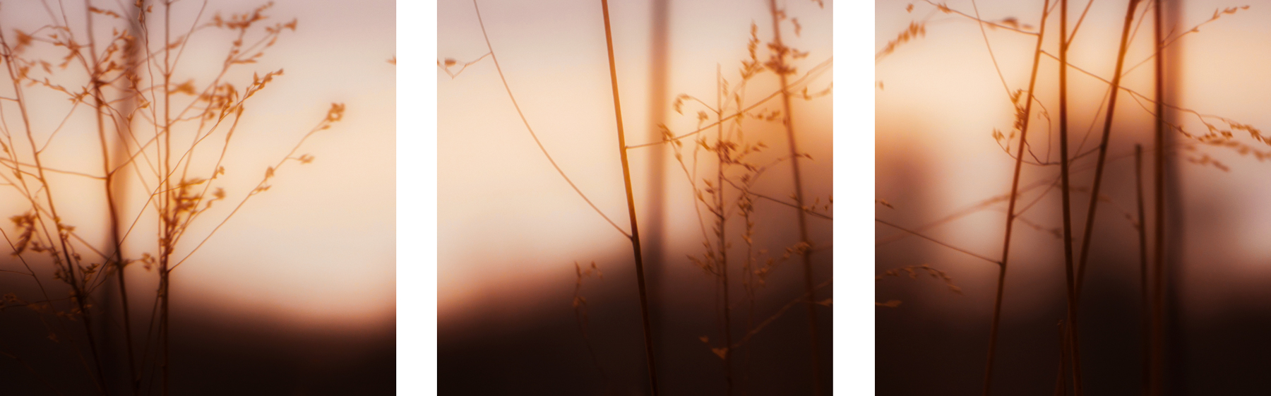 AL09758_SO3