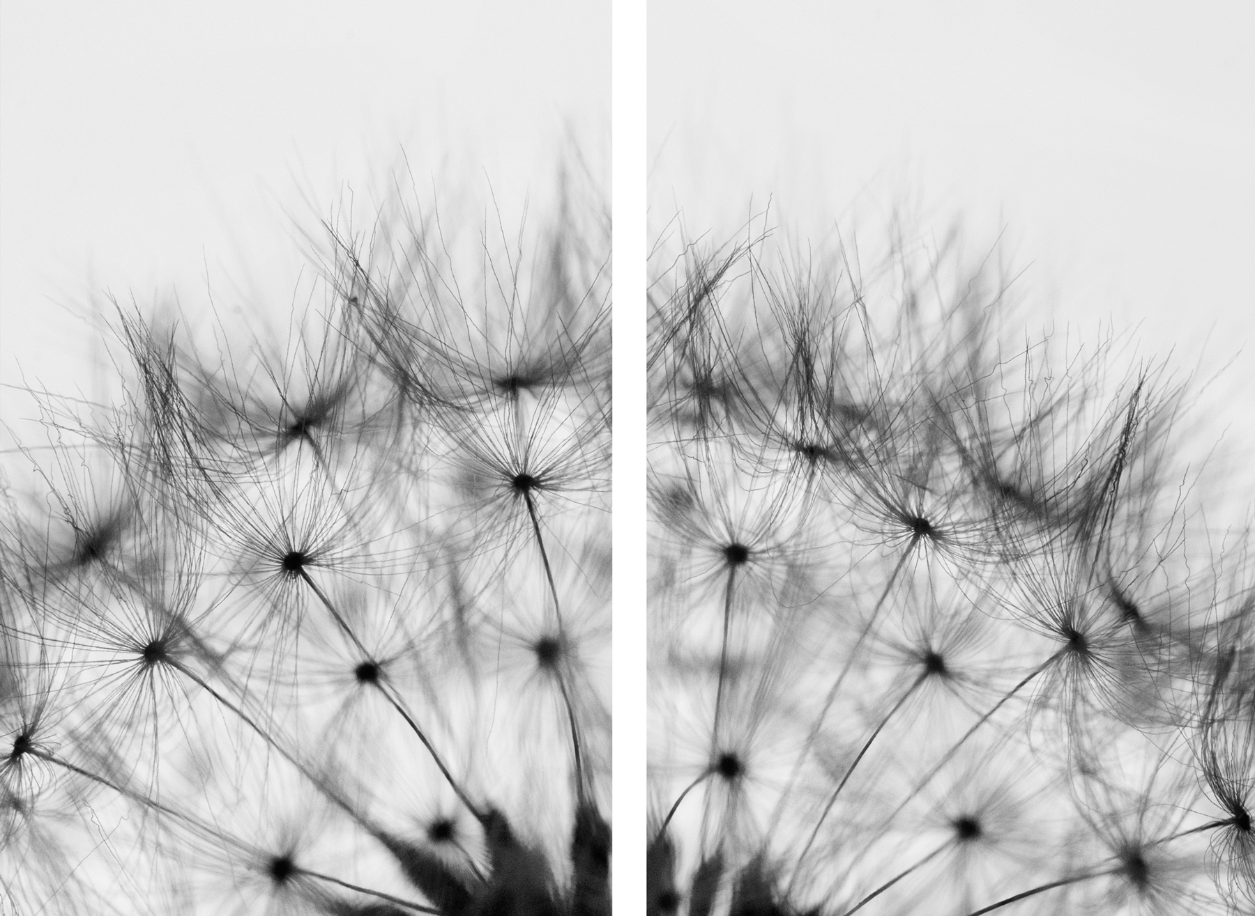 AL10470_S02