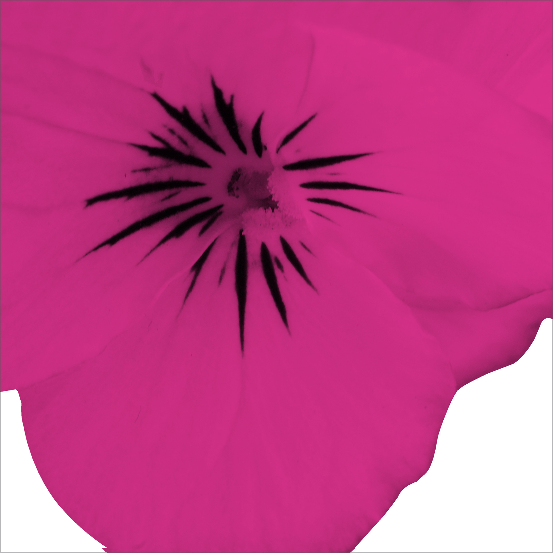 AL10599