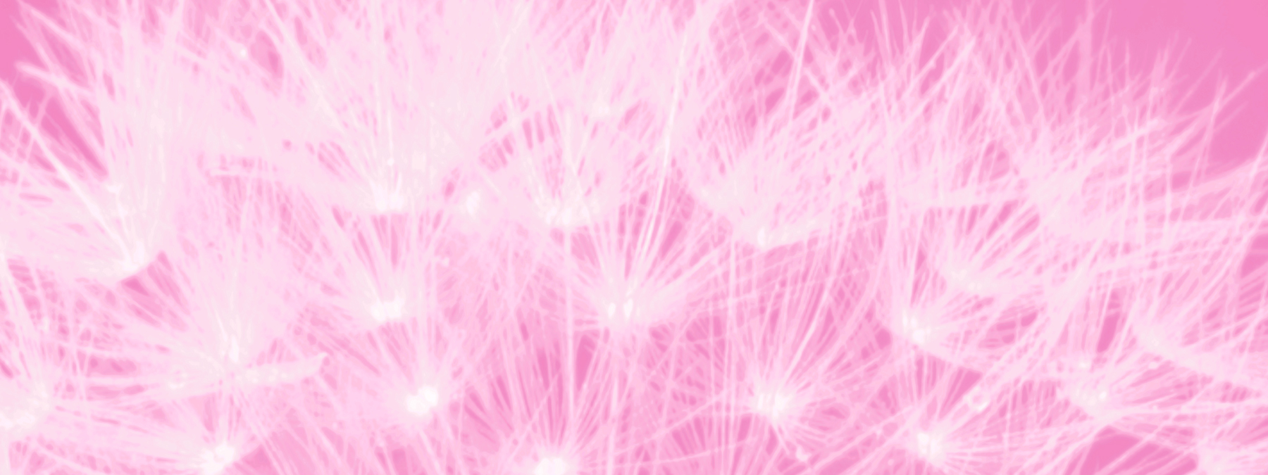 ALK00136 more colors