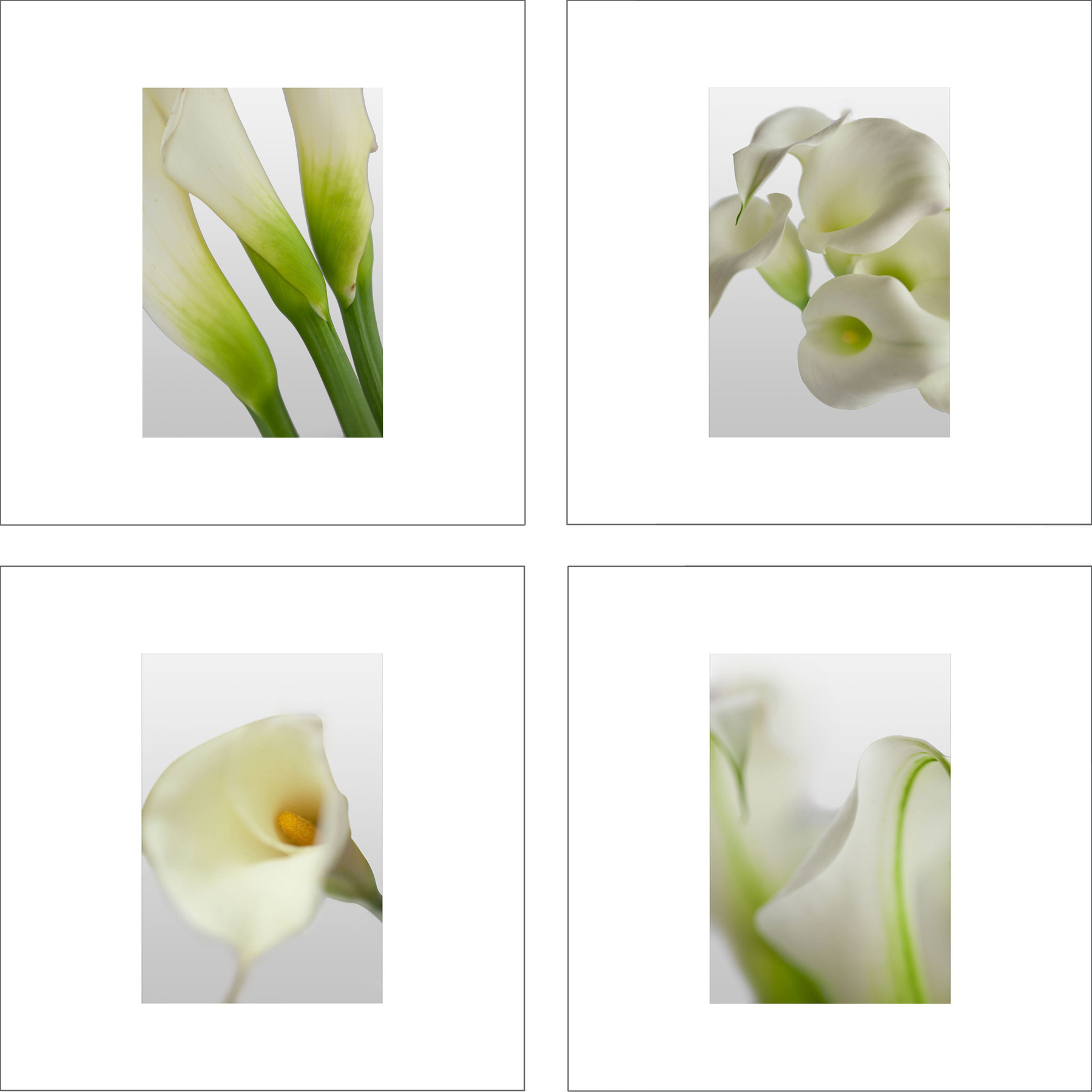 ALS112_4P