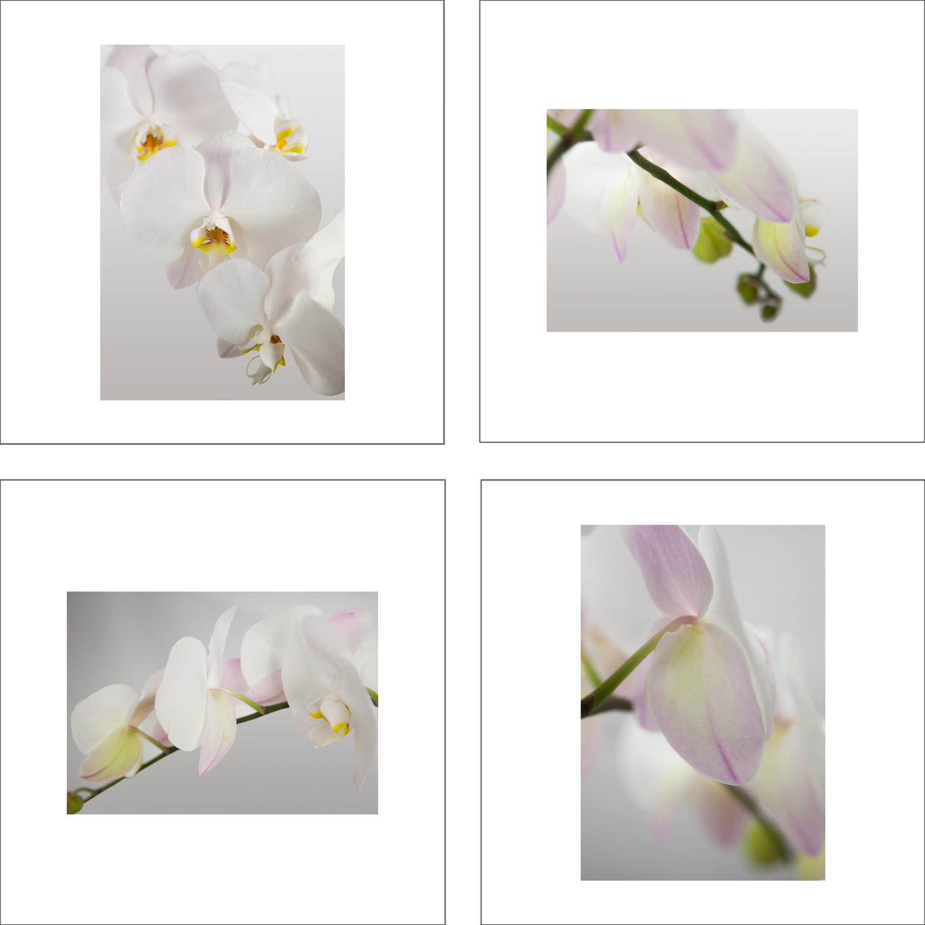 ALS114_4P