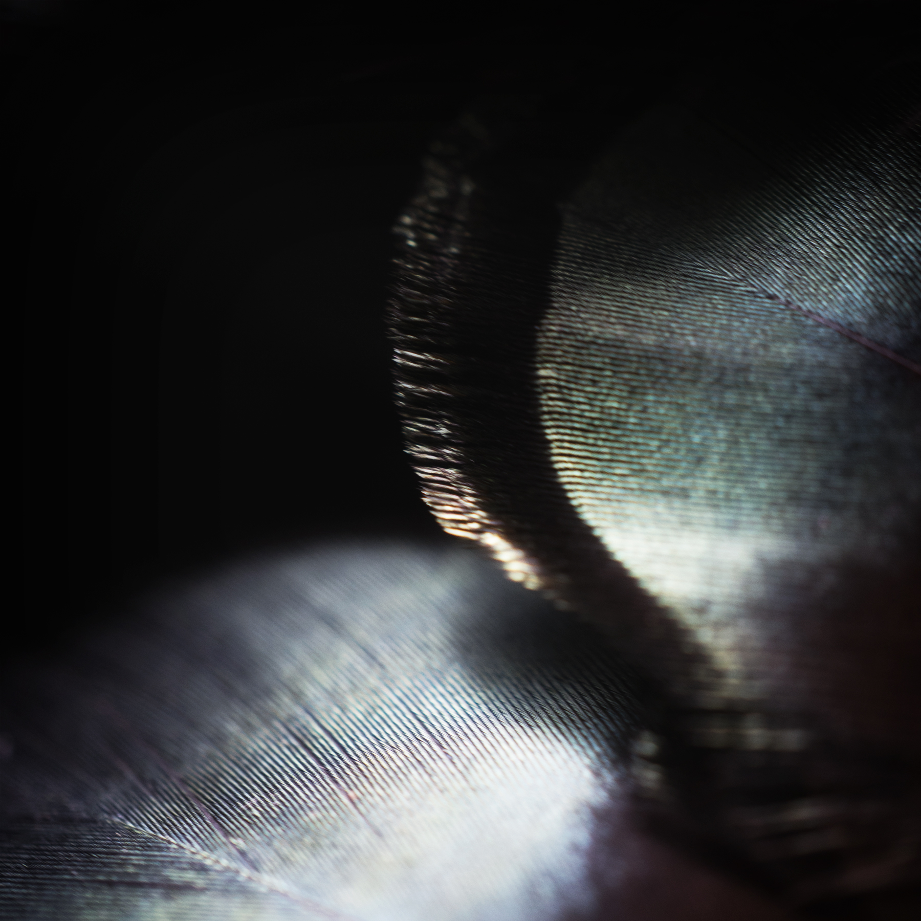 AL09826