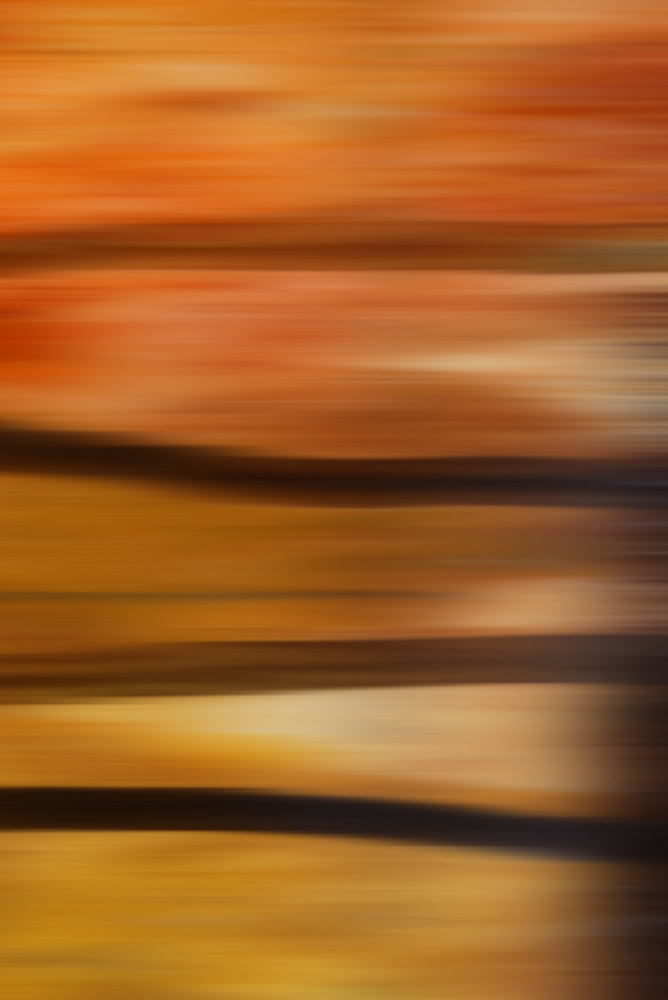 AL11079 more colors