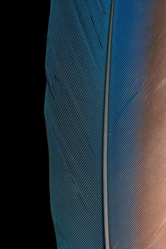 AL11140B more colors