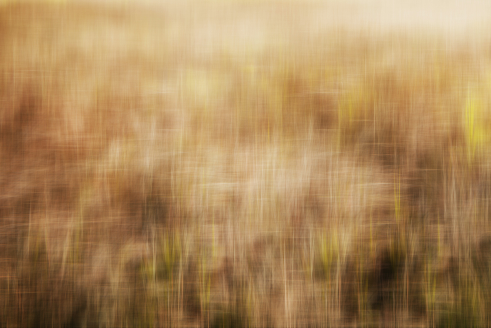 AL08272