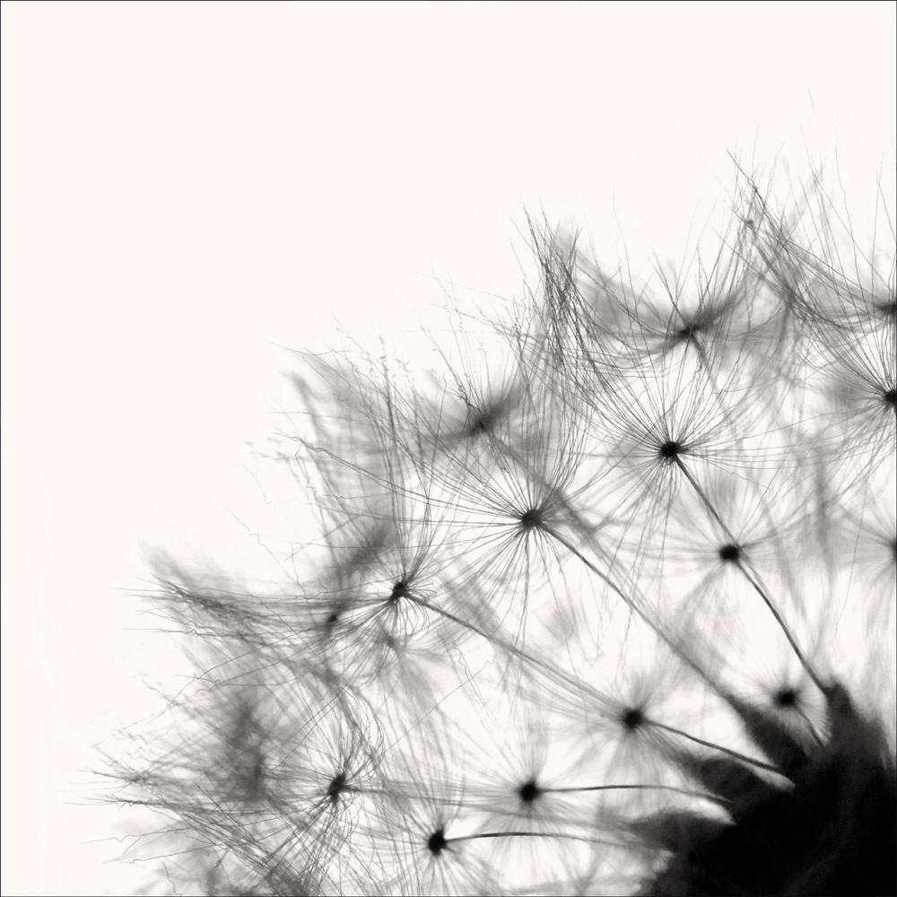 AL10408_A