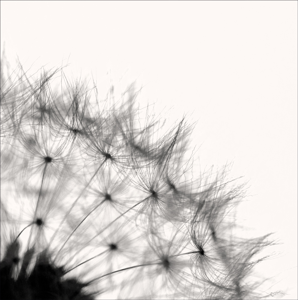 AL10408_B