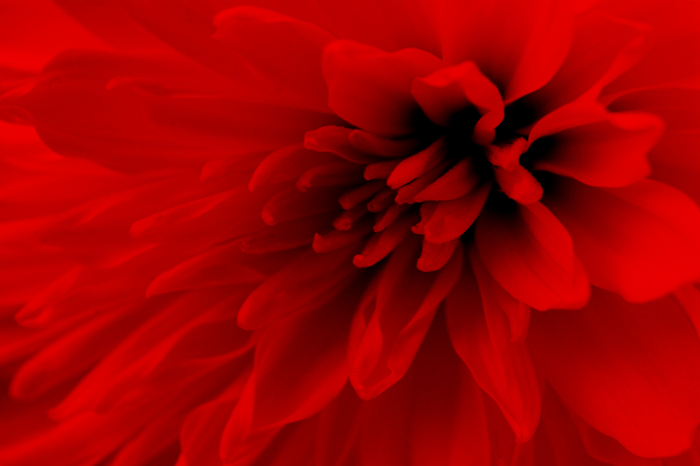 AL10873_1P more colors