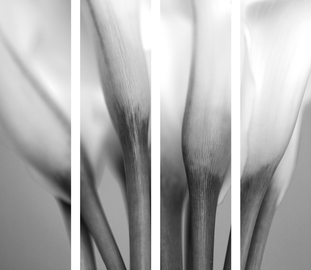 AL00408BW_SO4