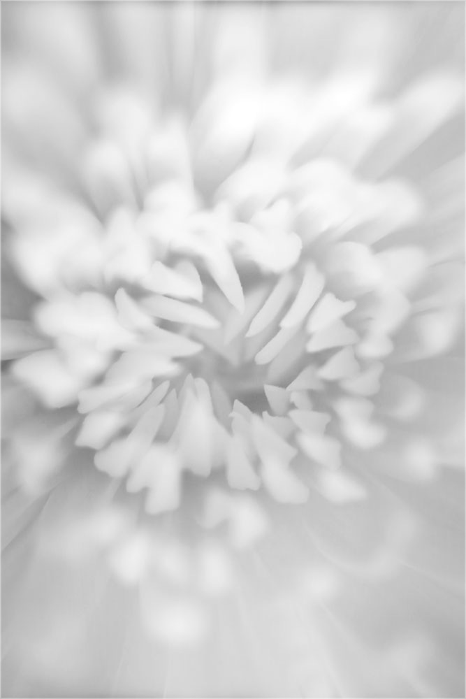 AL05857V
