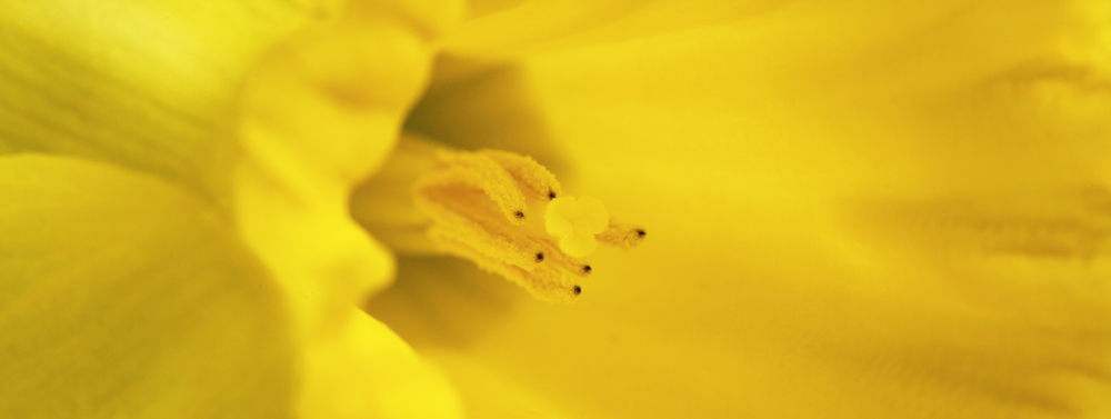 AL06060_36x96