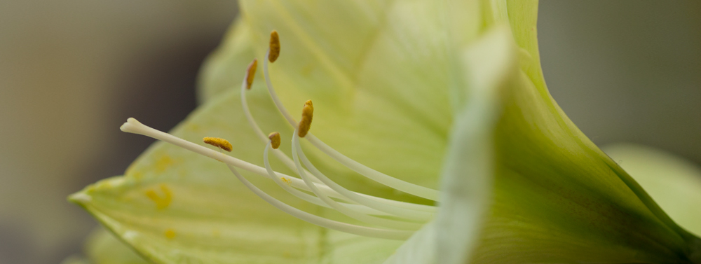 AL06064_36x96