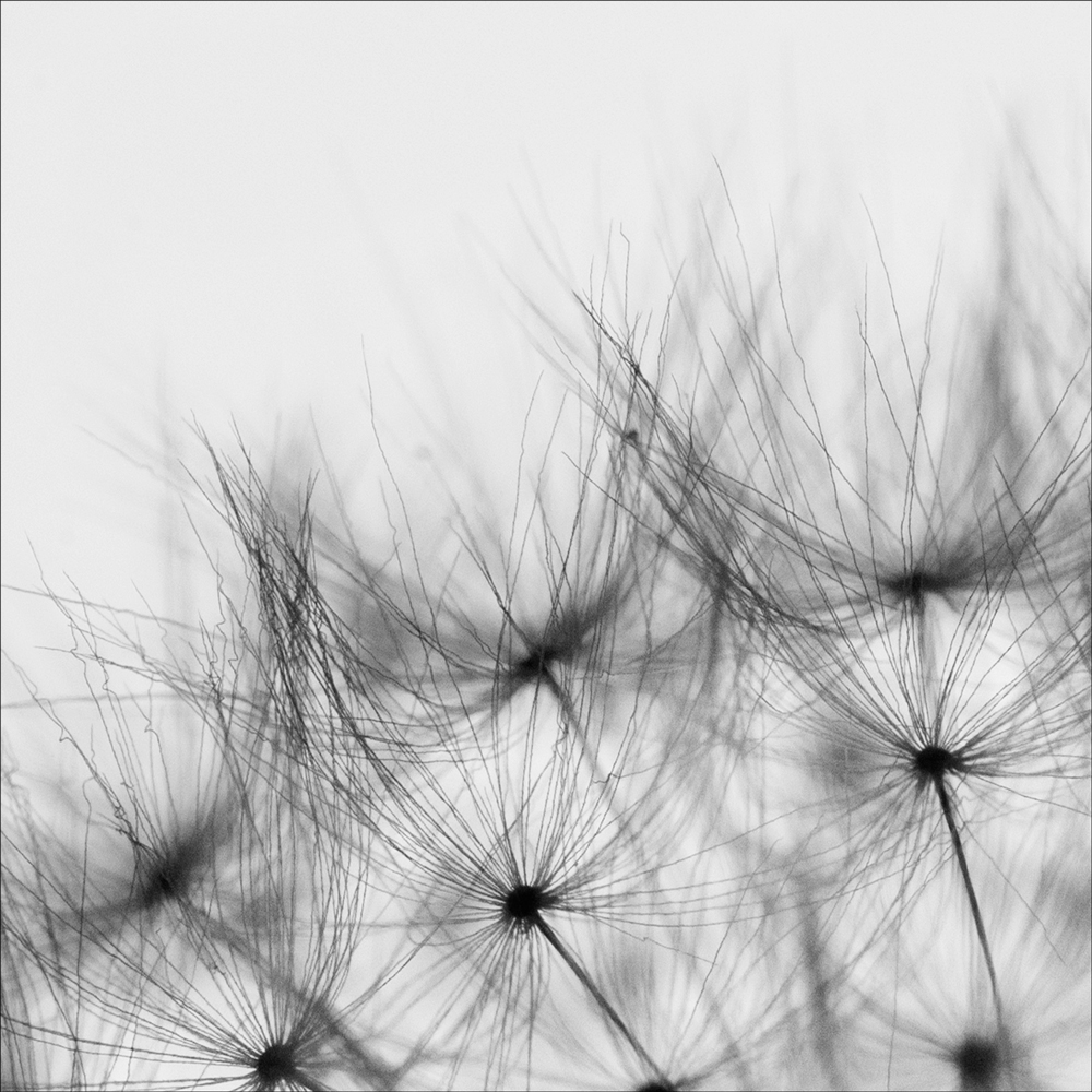 AL10470CSQ_L