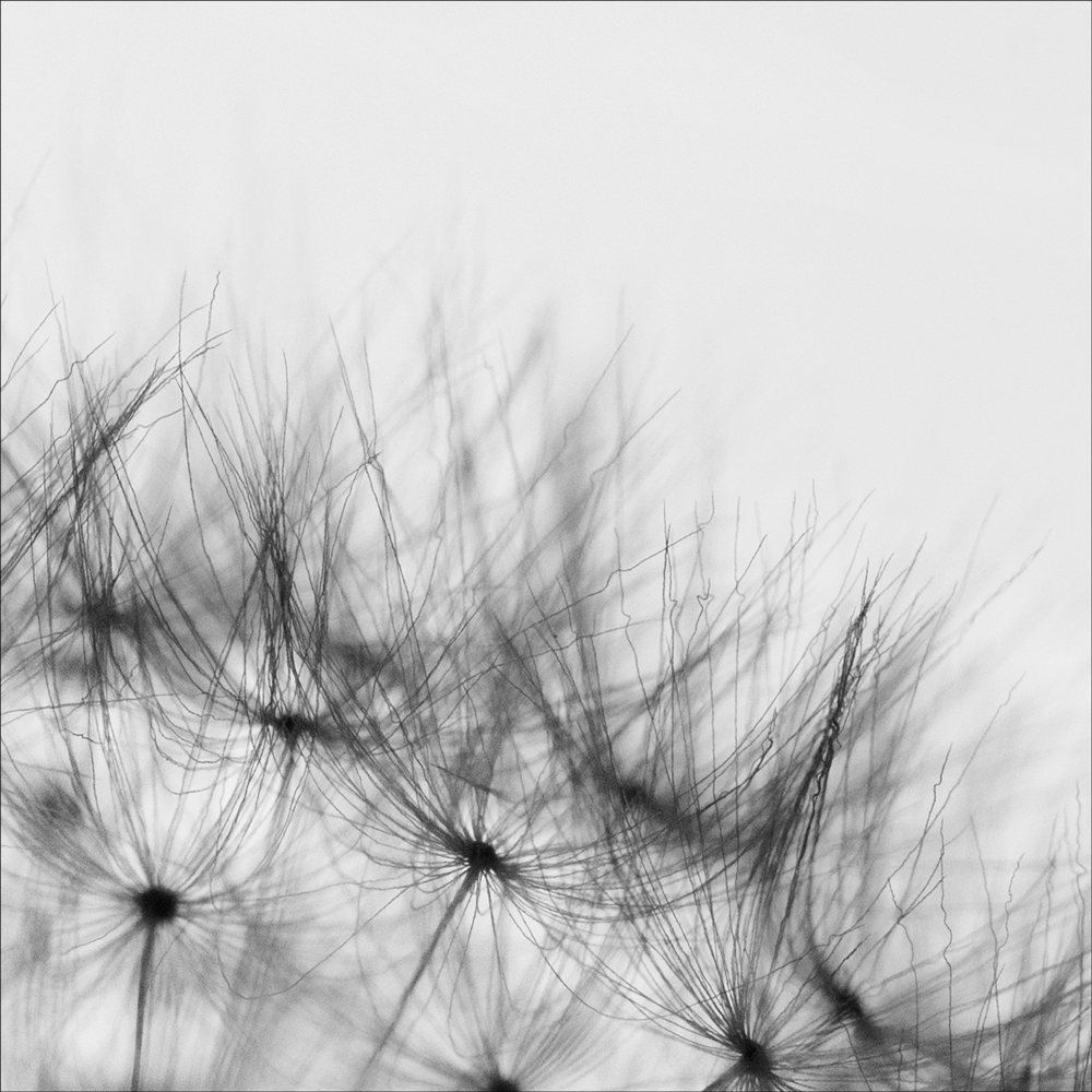 AL10470CSQ_R
