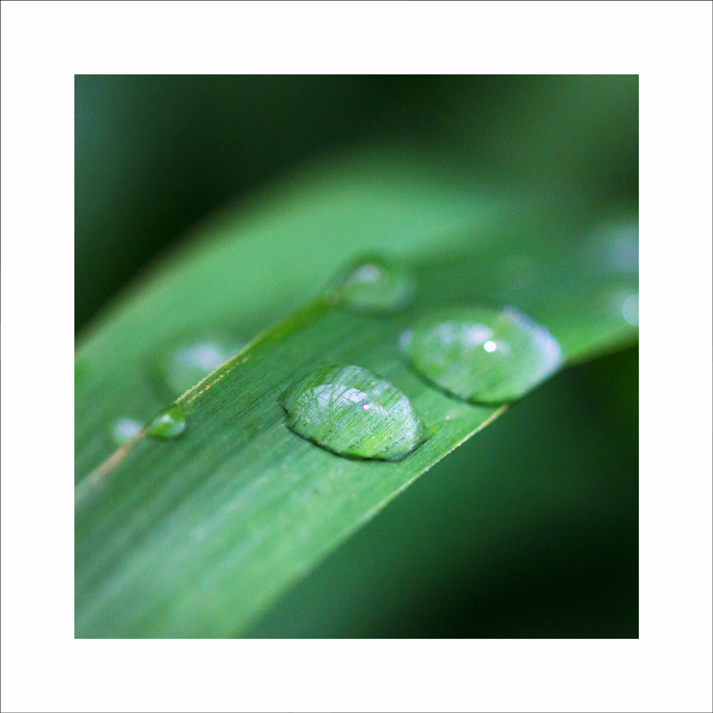 AL10993_WB