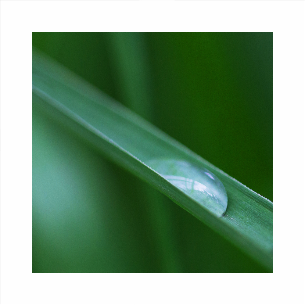 AL10994_WB