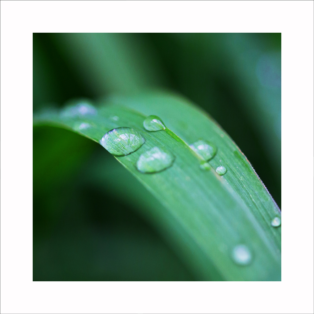 AL10995_WB