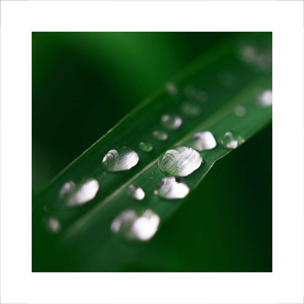 AL10996_WB