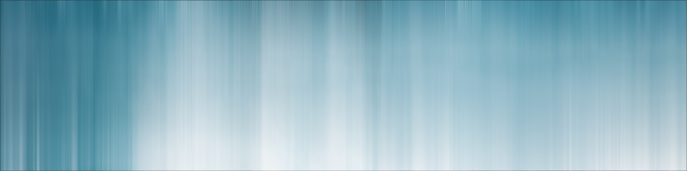 AL11007