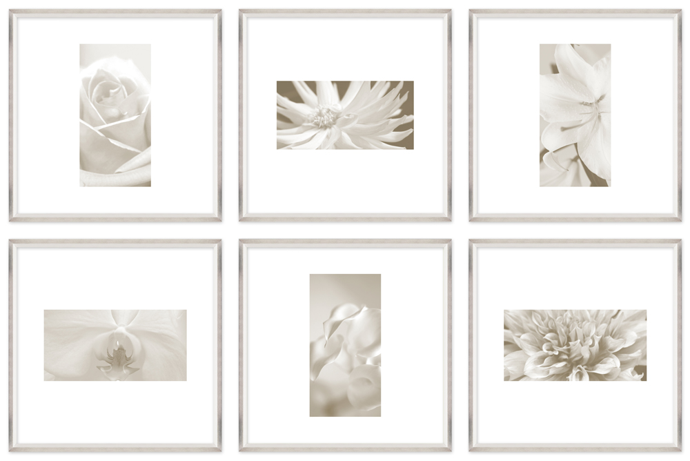 ALS141_SO6_FR set of 6