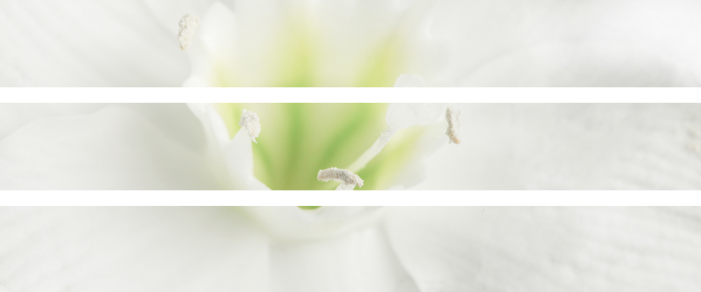 AL05479_SO3