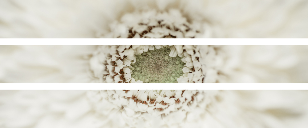 AL05484_SO3