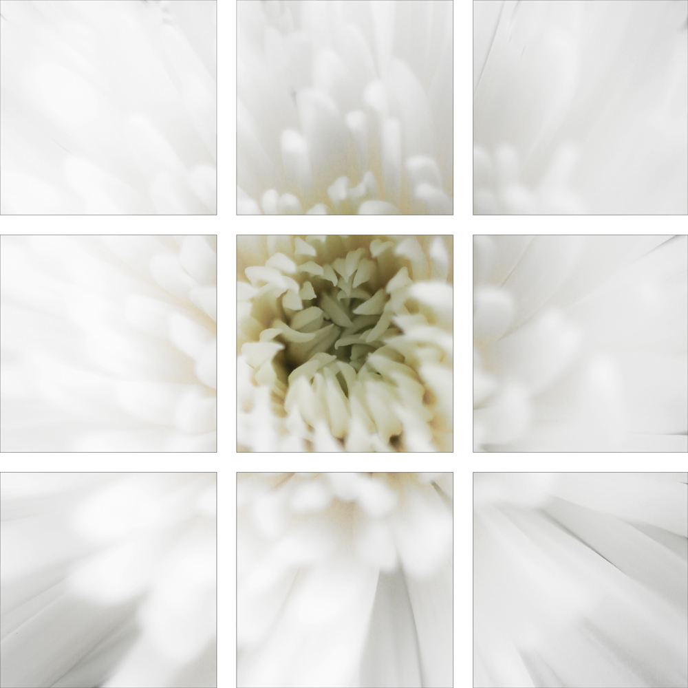 AL07226_SO9