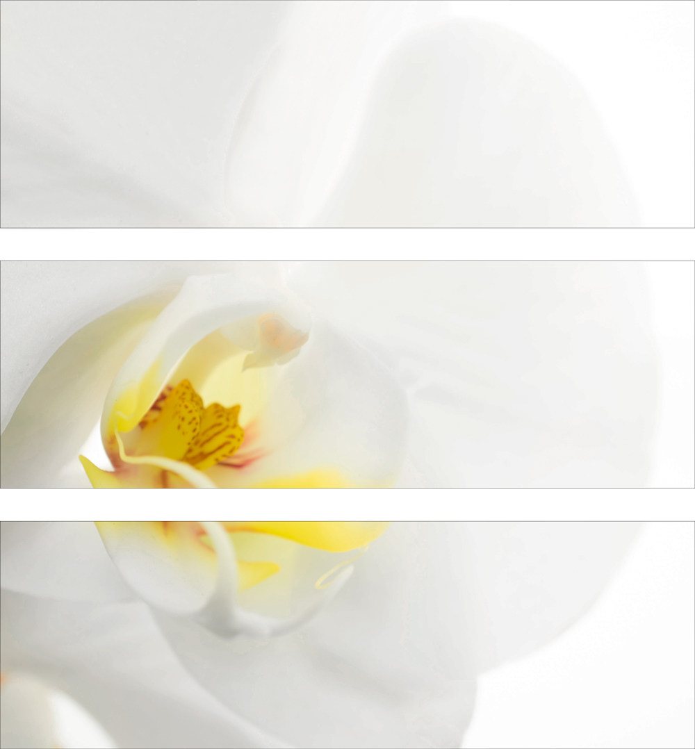 AL07739_SO3