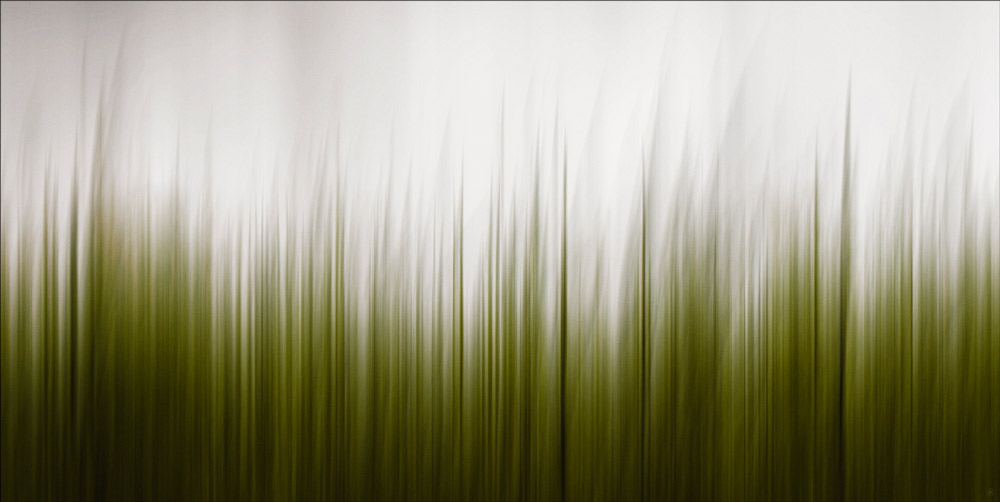 AL07827_36x72